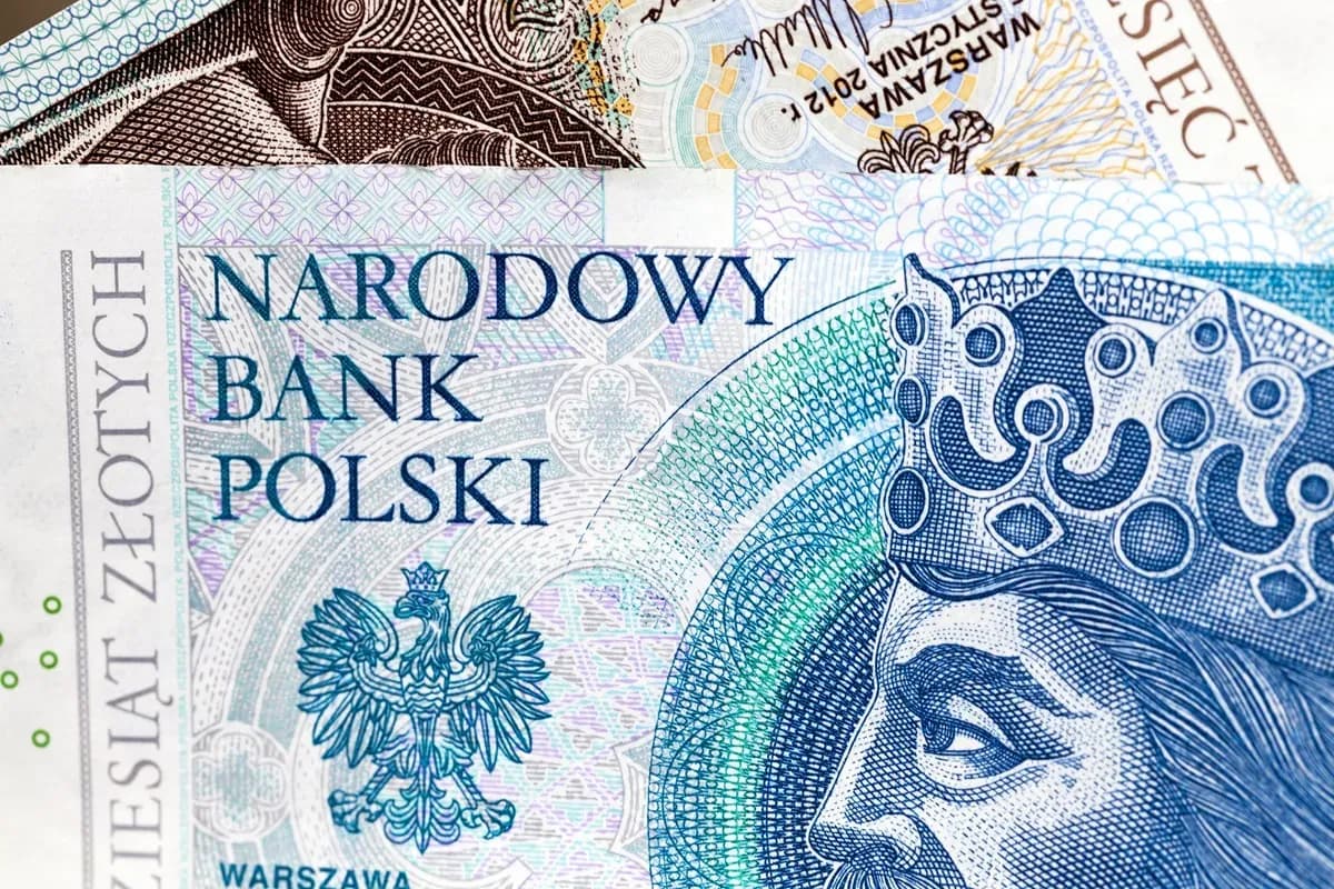 Umowa zlecenie 40 zł brutto ile to netto? Sprawdź, ile stracisz!